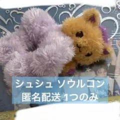 nct wish doll SCRUNCHIE シュシュ シオニン シオン - メルカリ