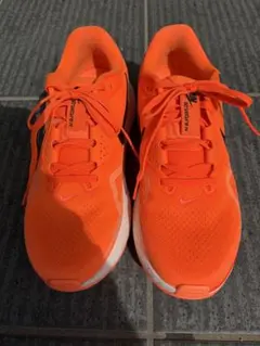 Flower 様専用。NIKE ストラクチャー26 26センチ