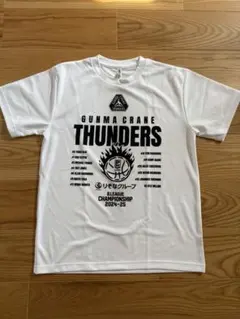 群馬クレインサンダーズ 2024-25シーズン CS出場記念Tシャツ Lサイズ