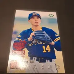 Item thumbnail for item 64646ccc-2ff4-40a2-a303-5a82555478fa