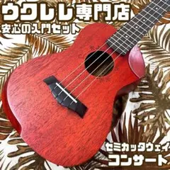 入門セット】Matildaセミカッタウェイのコンサートウクレレ【UK専門店