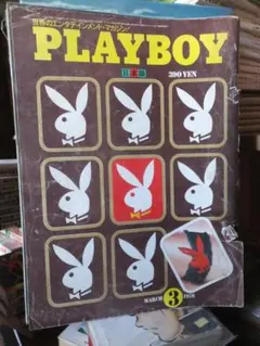 PLAYBOY プレイボーイ 日本版 １９７６年３月号 集英社