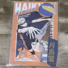 劇場版ハイキュー!! ゴミ捨て場の決戦 クリアカード ステッカーセット 月島蛍
