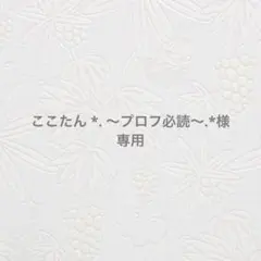 ここたん *. 〜プロフ必読〜.*様専用