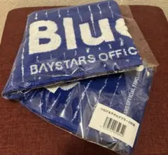 横浜DeNAベイスターズ ブルーメイツ つなげるタオルマフラー2枚組