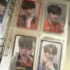 Item thumbnail for item 78e06579-2bbe-40d0-9217-925120bdde2b