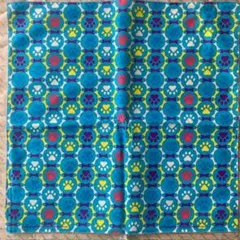 Item thumbnail for item fb7c9a36-2a23-4e10-8f0d-4ff1324c99a1