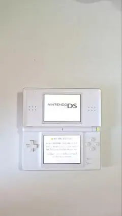 ニンテンドーDS Lite 白 本体