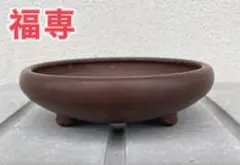 盆栽鉢、植木鉢、常滑焼、千交苑のダブル落款、大型鉢、 2025年最新】千交苑 鉢の人気アイテム - メルカリ