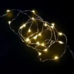 LEDジュエリーライト20球 電球色 電池式 ワイヤーライト