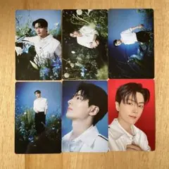 kpopアイドル トレカセット