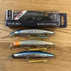 Item thumbnail for item ddc8a8d5-d51b-40d5-ad08-c8cbd917010d