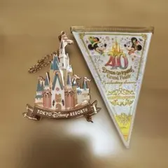 【完売品】ディズニー 40周年 グランドフィナーレ ガーランド＆チャーム セット