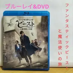 ファンタスティック・ビーストと魔法使いの旅【ブルーレイ&DVD】