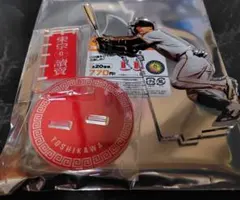 吉川尚輝　アクスタ