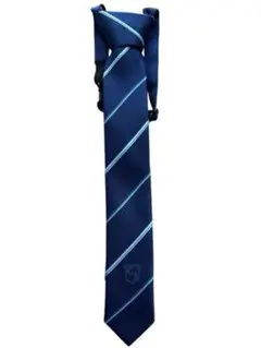 Item thumbnail for item 62941efb-f04c-4887-98a6-357e3aaae8ae