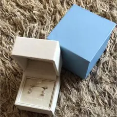 Canal4°C ピアス(キャッチ、箱付き)