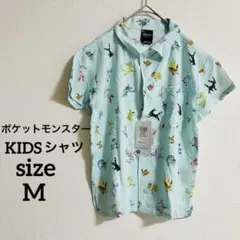 Item thumbnail for item d22fc063-deca-43db-89a0-f82a05f6d8f8