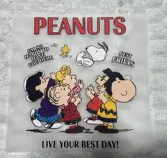 PEANUTS スヌーピー アイロンプリント