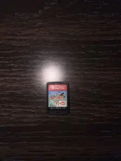 釣りスピリッツ nintendo switch バージョン