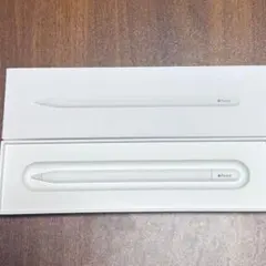 Apple Pencil (USB-C) アップルペンシル 純正
