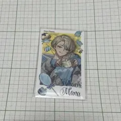 にじさんじ Sweet Floaties チェキ風カード 緋八マナ