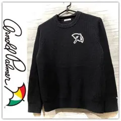 アーノルドパーマー ビックロゴワッペン ニット セーター ネイビー Lサイズ