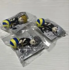 ハイキュー‼︎ プチっとのりマスvol.5