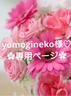 yomogineko様 リクエスト 5点 まとめ商品♡