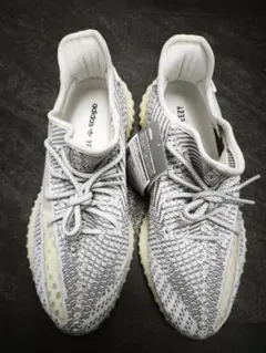 ド*ョ様 adidas YEEZY BOOST 350 V2 サイズ10