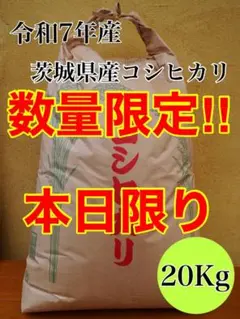 さっぱりツヤツヤ 令和7年度兵庫県産キヌヒカリ 冷めても甘い 農家直送