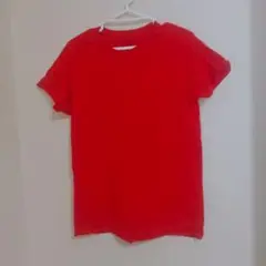 FRUIT OF THE LOOM Mサイズ レッド Tシャツ