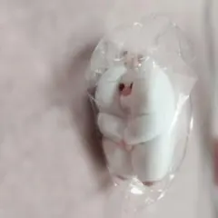 すきまハムスター　マスコットフィギュア2　キャンベルハムスター　未使用