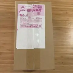 ポケモンセンタートウホクスペシャルボックス
