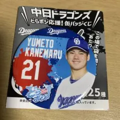 【匿名配送】未使用 中日ドラゴンズ 缶バッジ25種&BIGアクリルスタンドセット 中日ドラゴンズ どらポジ応援！缶バッジくじ」発売のお知らせ