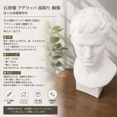 石膏像 アグリッパ 面取り 胸像 デッサン用 オブジェ 美術教材のサムネイル