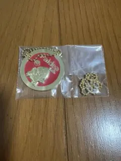 ポケモン ホゲータ メタル キーホルダー 一番くじ