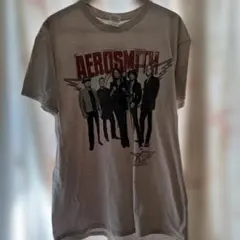 상태좋음 2012 GILDAN AEROSMITH バンドTシャツ