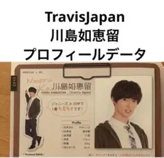 川島如恵留 プロフィールデータ レア品