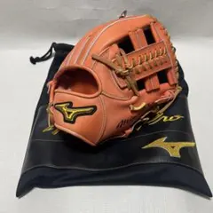 Item thumbnail for item 2c07dc86-bf4e-489b-93ea-b0bf53c9102e