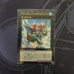 2026年最新】イビリチュア・メロウガイストの人気アイテム - メルカリ