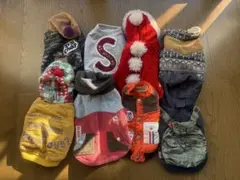 Item thumbnail for item c62a05de-70ef-408d-a0d9-a4da5d38c2bf