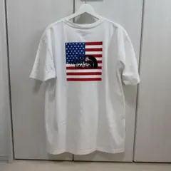 THE NORTH FACE 星条旗プリント Tシャツ