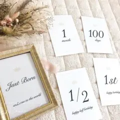 Item thumbnail for item 12b1affc-8e59-40e6-809e-9a1274b7c832