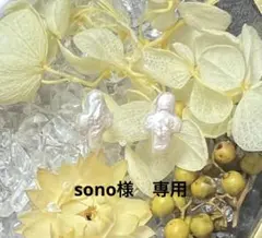 sono様　専用