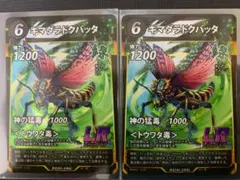 キマダラドクバッタ