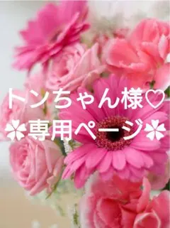 トンちゃん様♡専用ページ.。.:*♡✿ฺ