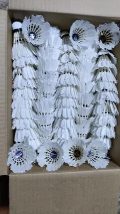 Item thumbnail for item 2111aa15-1a37-48fb-b257-da88ccb12a08