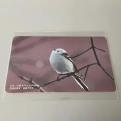 Item thumbnail for item 87307c2a-59e2-4433-87aa-e546edd0e1c1