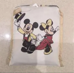 ディズニーストア　ディズニーリゾート店限定　エコバッグ